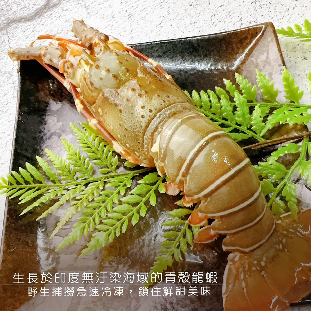 印度生凍龍蝦100 150g 主圖2